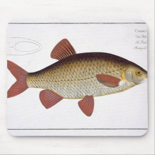 Tapis De Souris Plat rouge I de carpe (Cyprinus Erithrophthalmus)