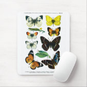 Tapis De Souris Plate de papillons européenne II Mousepad (Avec souris)