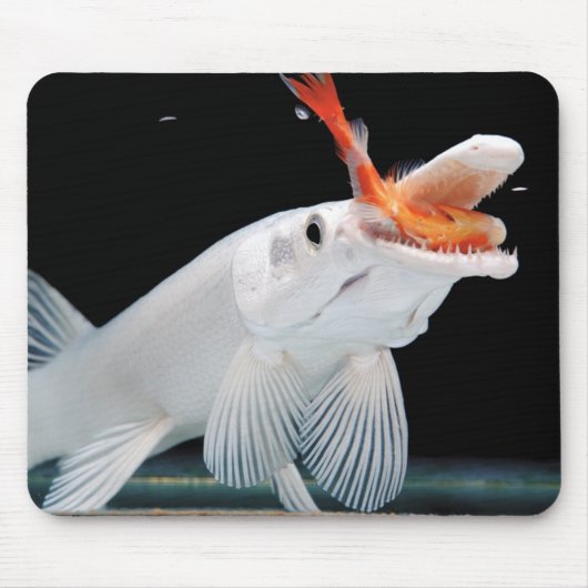 Tapis De Souris Platinum Alligator Garのマウスパッド (Devant)