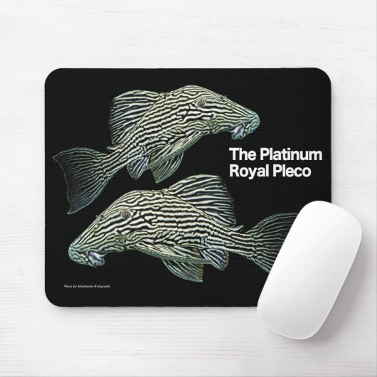 Tapis De Souris Platinum Royal Pleco (Avec souris)