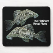 Tapis De Souris Platinum Royal Pleco (Devant)