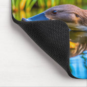 Tapis De Souris Platypus (Coin)