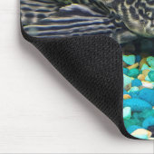 Tapis De Souris Plecostomus Sur Gravure (Coin)
