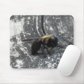 Tapis De Souris Pludrops (Avec souris)