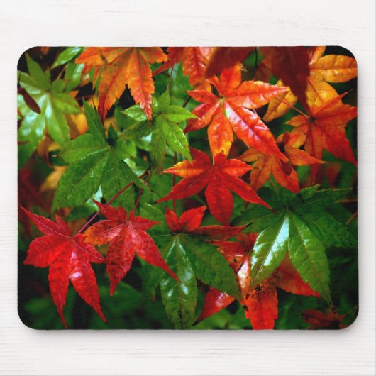 Tapis De Souris Pluie d'automne (Devant)