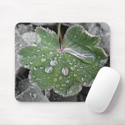 Tapis De Souris pluie lourde (Avec souris)