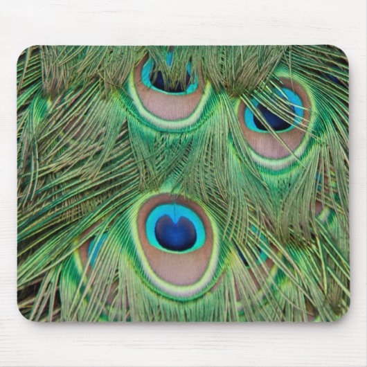 Tapis De Souris Plumage de paon (Devant)