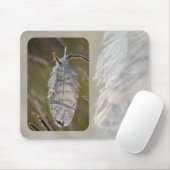 Tapis De Souris Plume (Avec souris)
