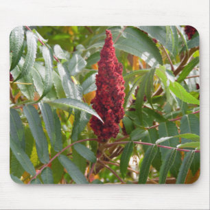 Tapis De Souris Plume de fleurs