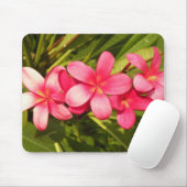 Tapis De Souris plumeria (Avec souris)