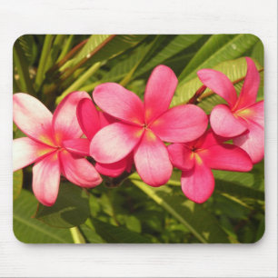 Tapis De Souris plumeria