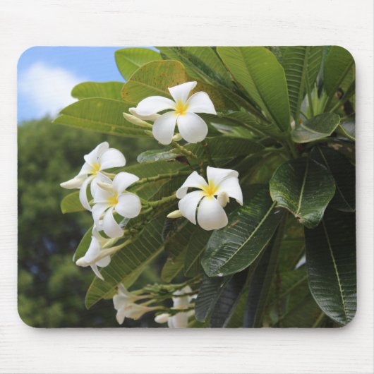 Tapis De Souris Plumeria Mousepad (Devant)
