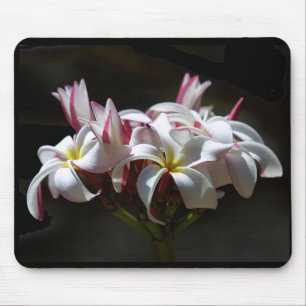 Tapis De Souris Plumeria Mousepad