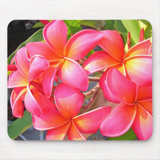 Tapis De Souris Plumeria Mousepad (Devant)