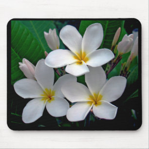 Tapis De Souris Plumeria Mousepad de clair de lune