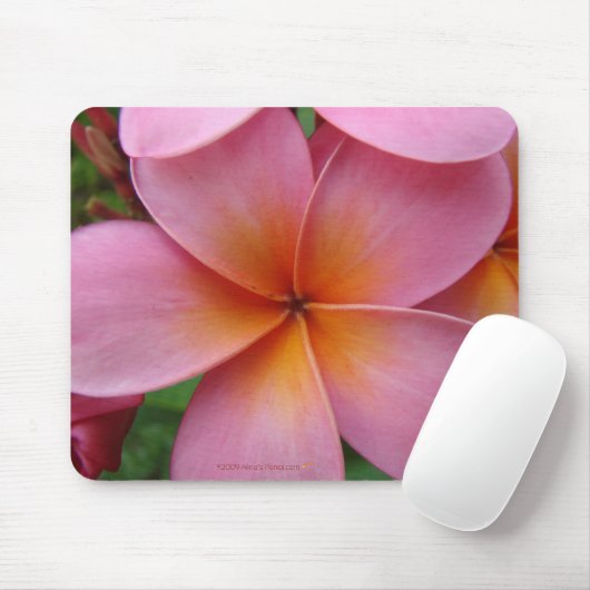 Tapis De Souris Plumeria rose Mousepad (Avec souris)