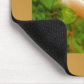 Tapis De Souris Plumes (Coin)