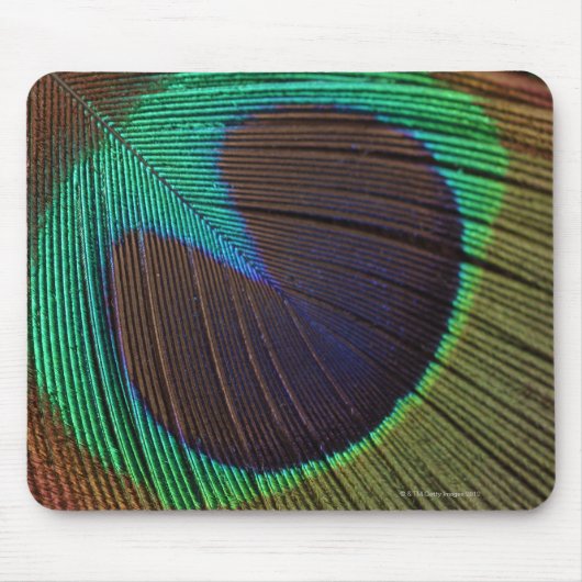 Tapis De Souris Plumes de paon (Devant)