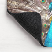 Tapis De Souris plumes de paon (Coin)