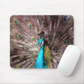 Tapis De Souris plumes de paon (Avec souris)