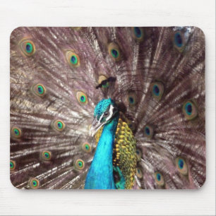 Tapis De Souris plumes de paon