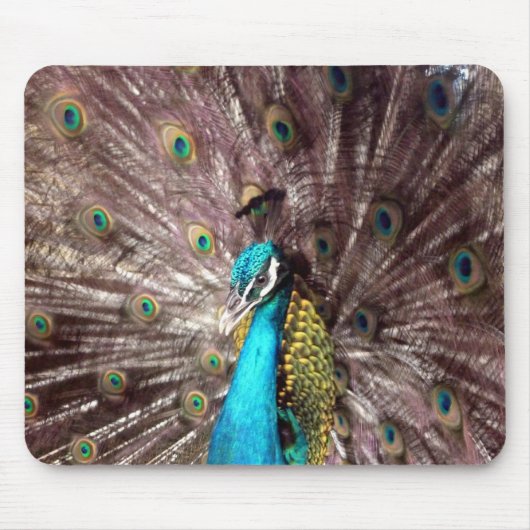 Tapis De Souris plumes de paon (Devant)
