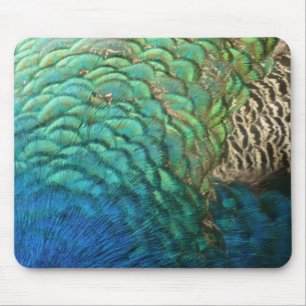 Tapis De Souris Plumes de paon I Design de nature abstrait coloré