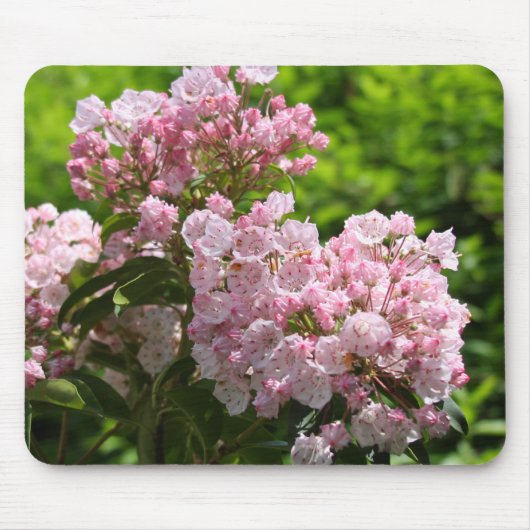 Tapis De Souris Plutôt Rose Des Fleurs De Laurel Souris Pad (Devant)
