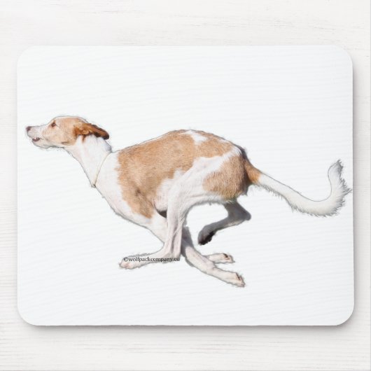 Tapis De Souris podenco (Devant)
