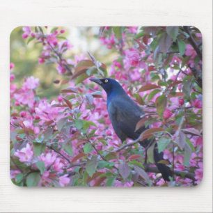 Tapis De Souris Poignée Apple Blossom
