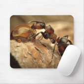 Tapis De Souris Poing et goutte d'eau (Avec souris)