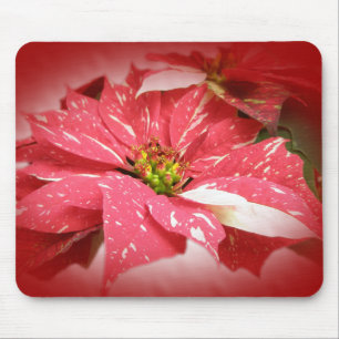 Tapis De Souris Poinsettia en rouge et blanc