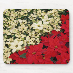 Tapis De Souris Poinsettias blanches et rouges I Holiday Floral