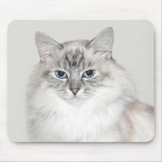 Tapis De Souris Point bleu Chat himalayen