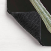 Tapis De Souris Point de lance, période de Yayoi, 200 BC-AD 100 (Coin)