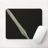 Tapis De Souris Point de lance, période de Yayoi, 200 BC-AD 100 (Avec souris)