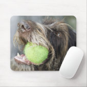 Tapis De Souris Pointer chien mordant balle de tennis, gros plan (Avec souris)