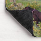 Tapis De Souris Pointeurs allemands à poils courts (Coin)