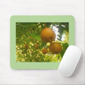 Tapis De Souris Poires en pleine floraison (Avec souris)