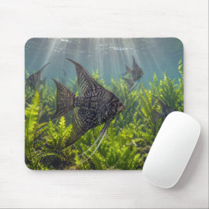 Tapis De Souris Poisson-ange à dentelle noire dans les algues