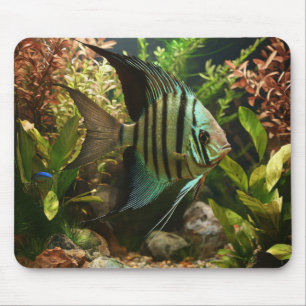 Tapis De Souris Poisson-ange altum rayé