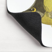 Tapis De Souris Poisson Chelmon Longirostris Tropical Jaune, Poiss (Coin)