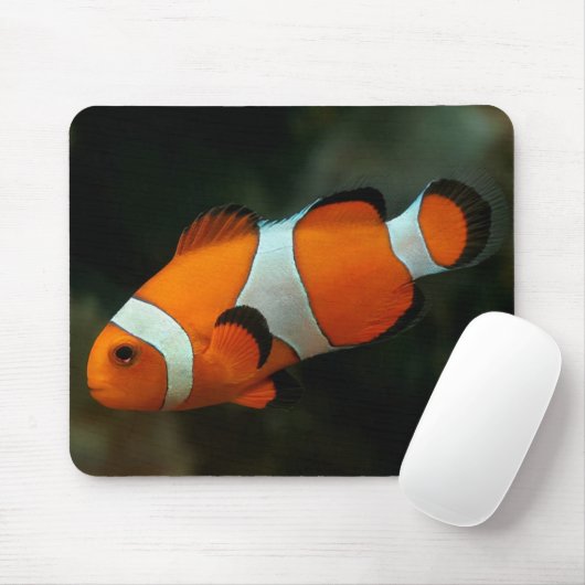 Tapis De Souris Poisson clown (Avec souris)