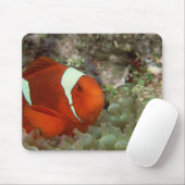 Tapis De Souris Poisson clown 2 (Avec souris)