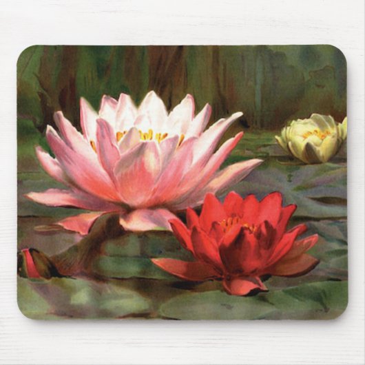 Tapis De Souris Poisson dans les calottes - Mousepad (Devant)
