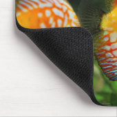 Tapis De Souris poisson de cirque, aquarium, eau douce (Coin)