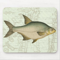 Poisson d'eau douce sur la carte