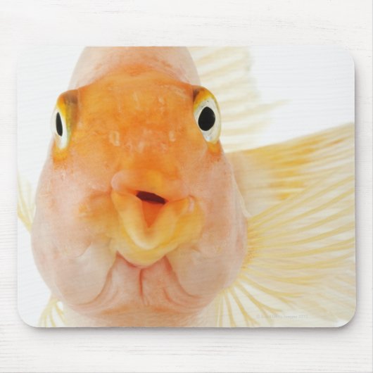 Tapis De Souris Poisson d'eau douce tropicale (Devant)
