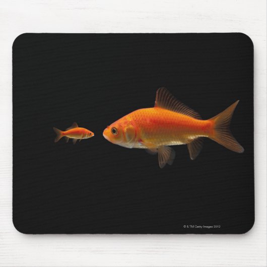 Tapis De Souris Poisson d'or 3 (Devant)