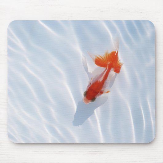 Tapis De Souris Poisson d'or 5 (Devant)